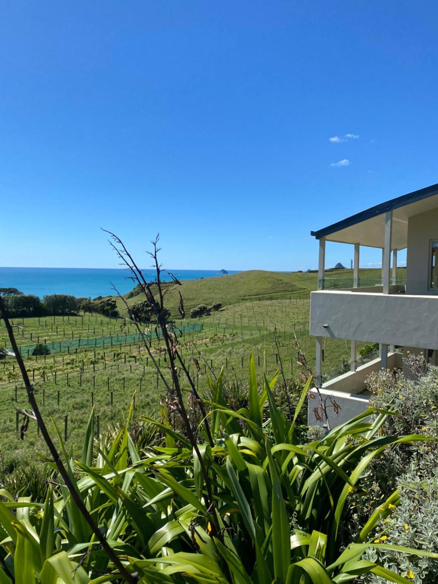 Chalets At Okurukuru New Plymouth Exteriér fotografie