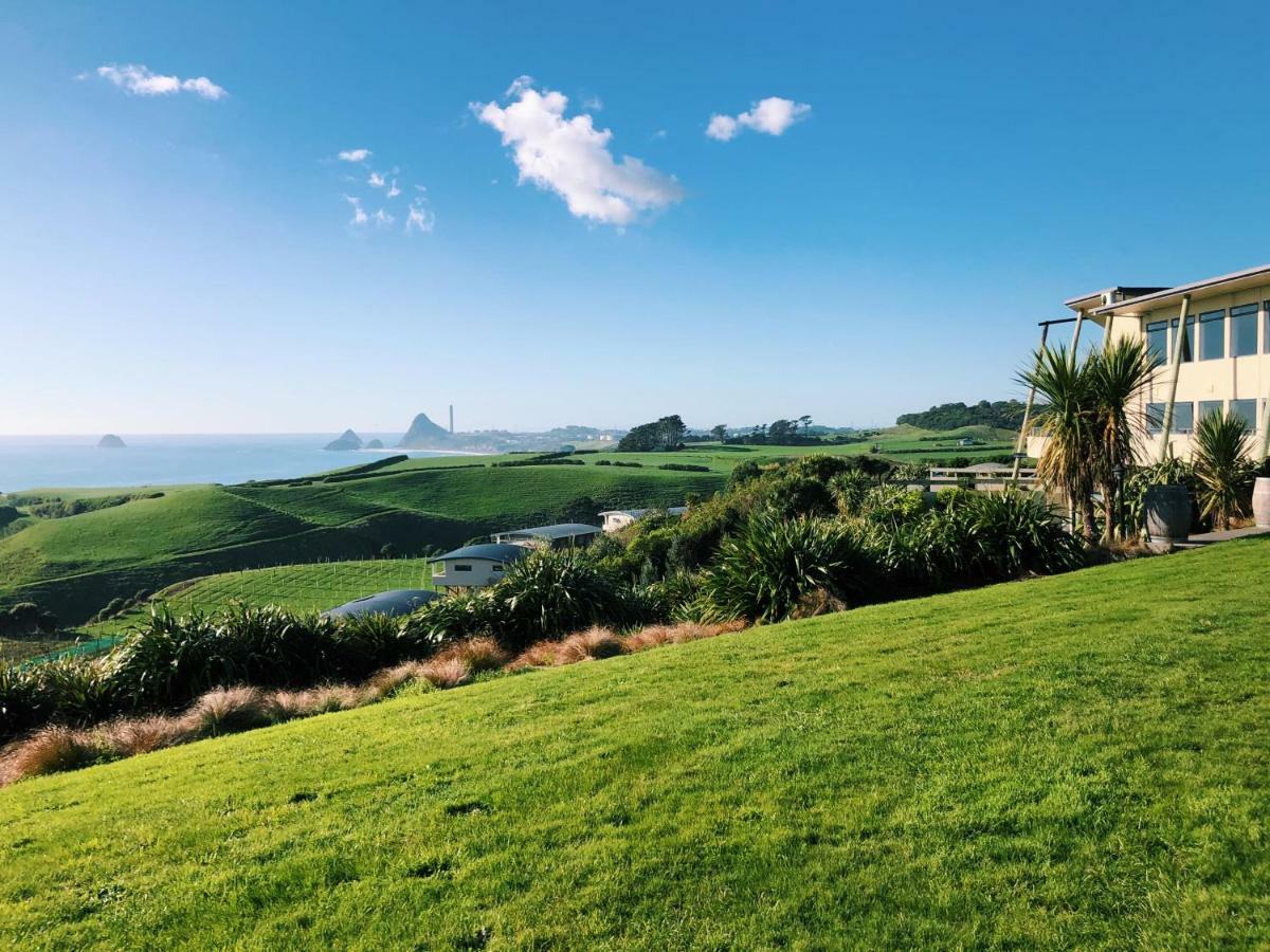 Chalets At Okurukuru New Plymouth Exteriér fotografie
