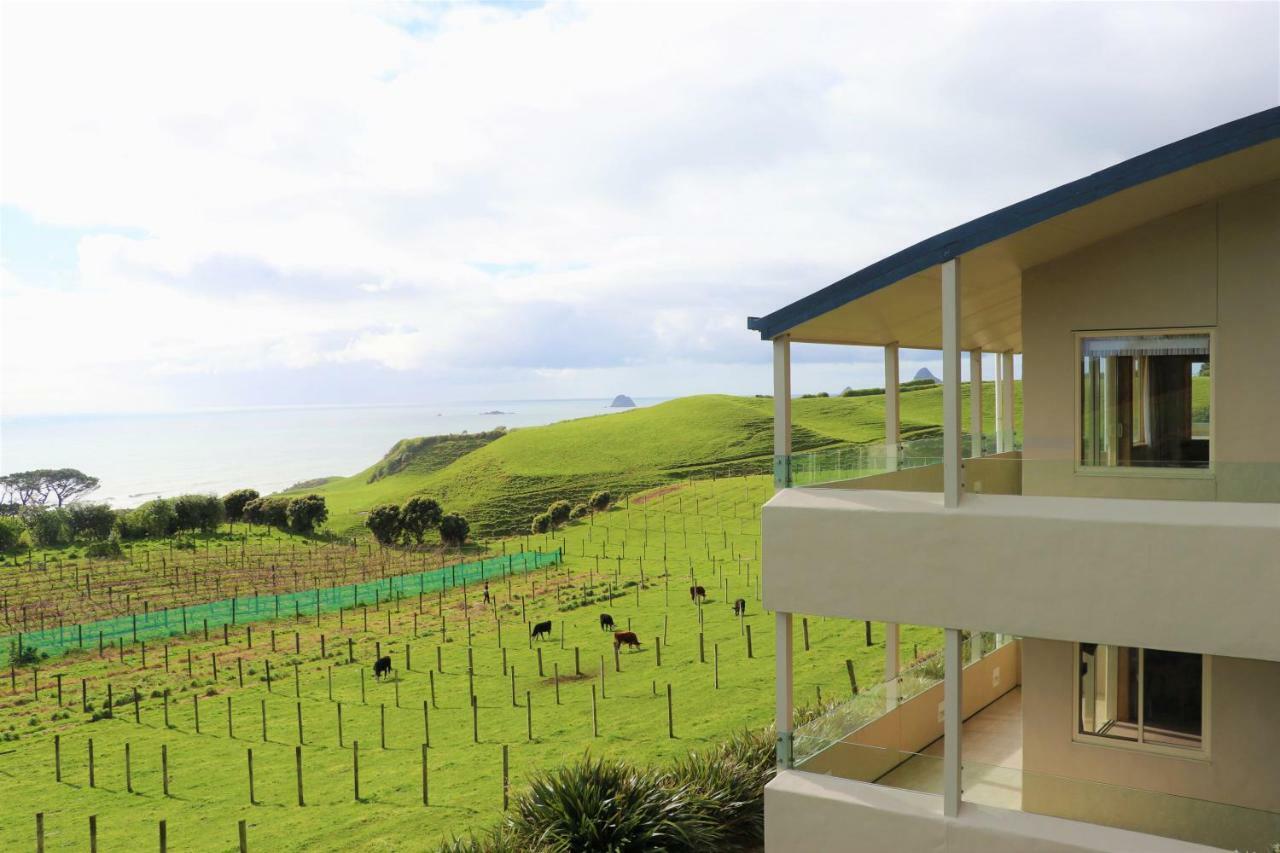 Chalets At Okurukuru New Plymouth Exteriér fotografie