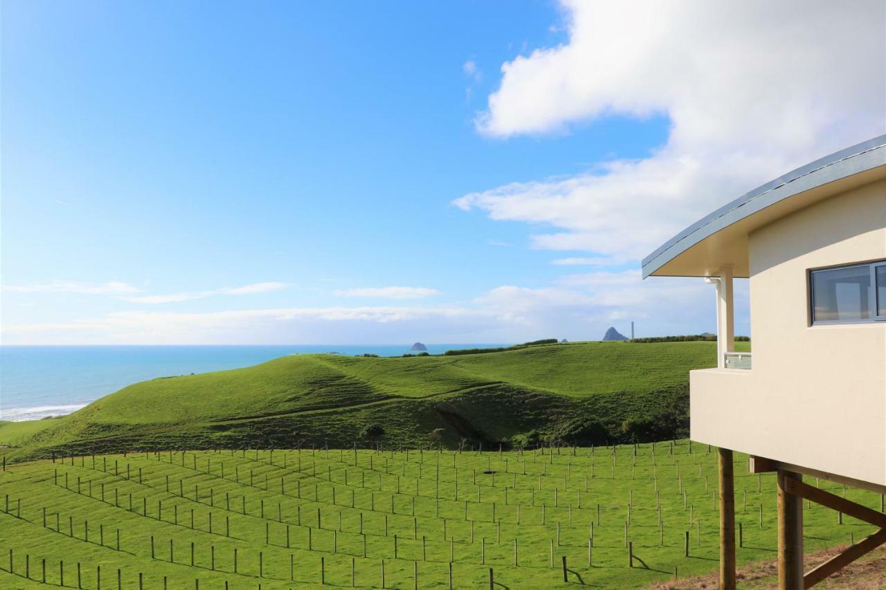 Chalets At Okurukuru New Plymouth Exteriér fotografie