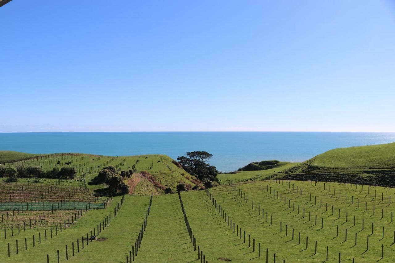 Chalets At Okurukuru New Plymouth Exteriér fotografie